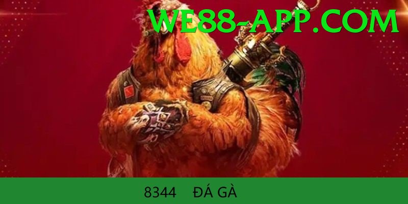 Cách Đọc Kèo Đá Gà - Tặng code